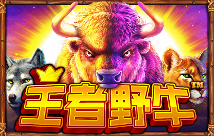 959娱乐app登录入口安卓版